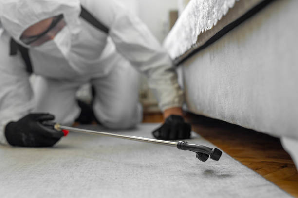 Professional Wasp Control technician working in Missouri Valley, IA